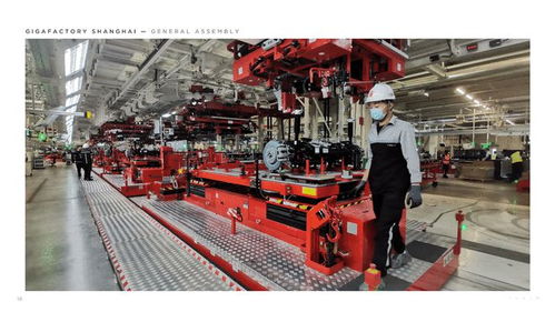 特斯拉Q2財報發布 連續12個季度盈利，上海技術交流彰顯全球戰略新支點