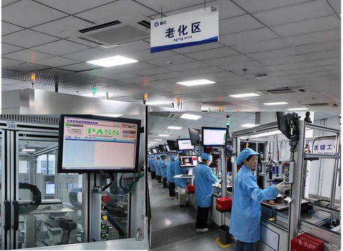 新春走基層 | 春節不打烊 上海技術驅動，近萬充電樁揚帆出海巴西